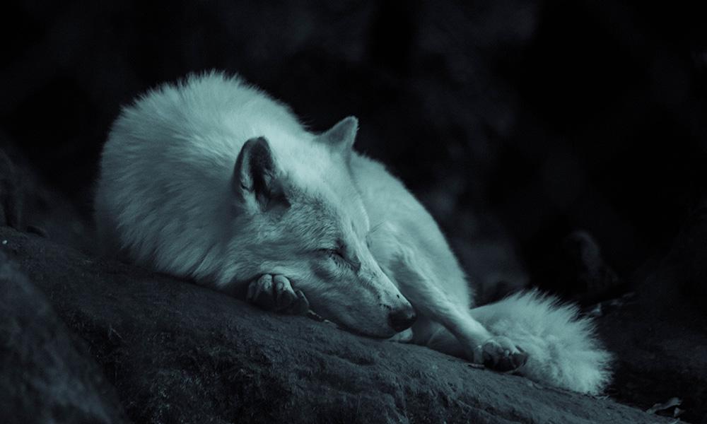 Img conteúdo da notícia